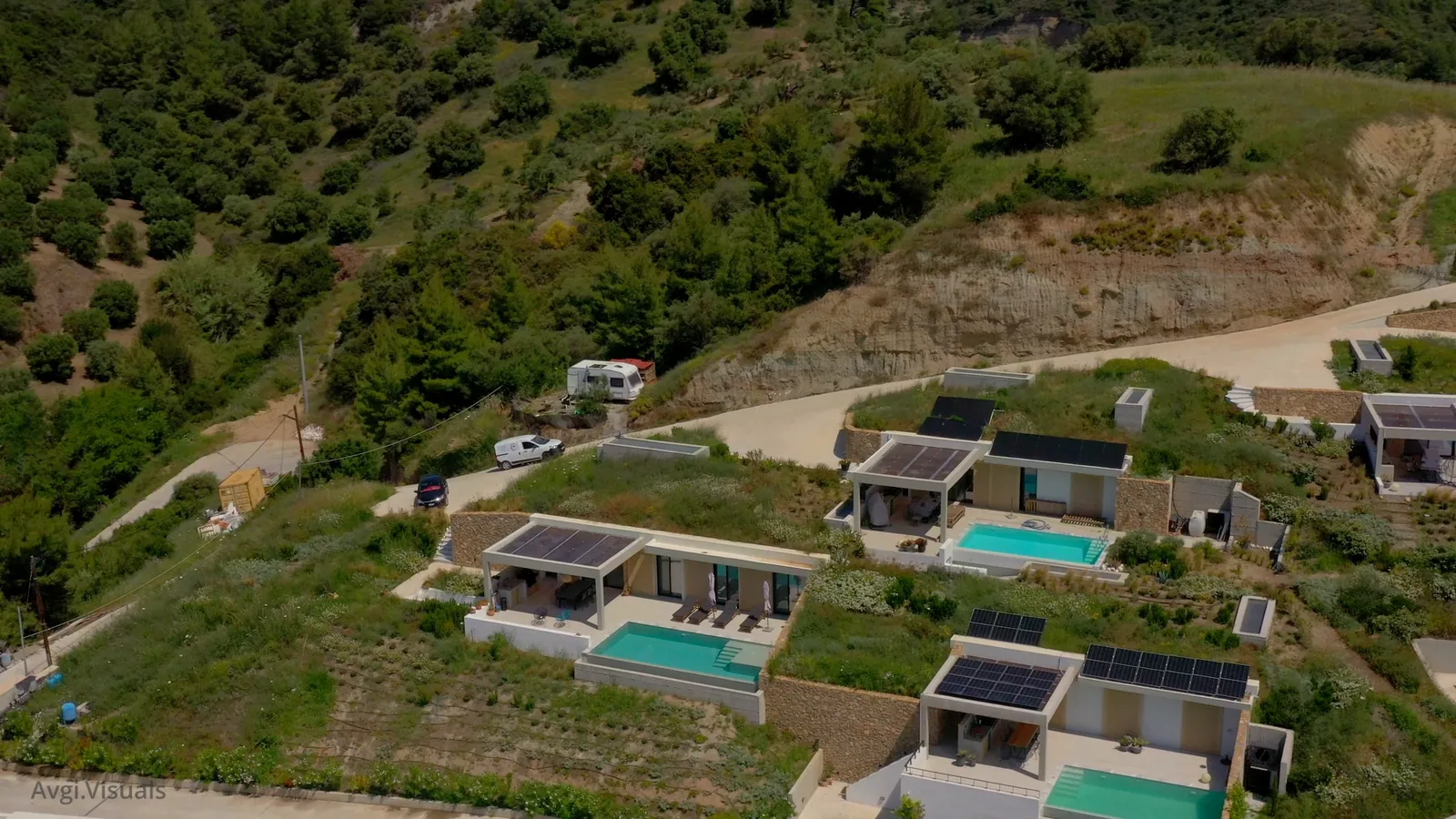 The villas among olive groves